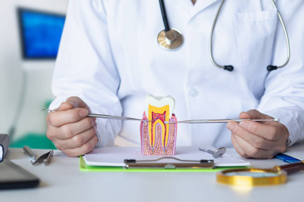 Best Emergency Cosmetic Dentistry in Wyoming, IL